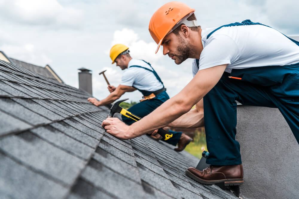 Trades & Contractors