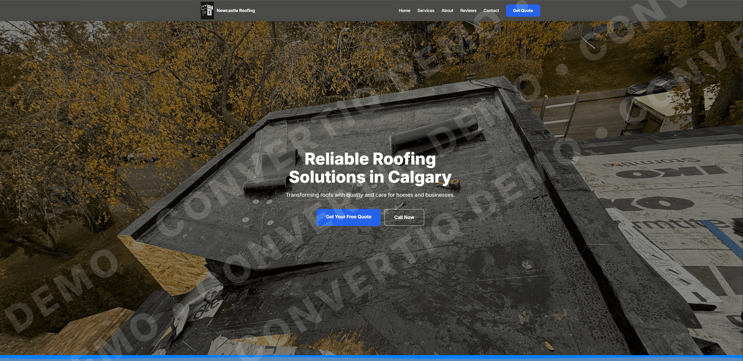 Newcastle Roofing